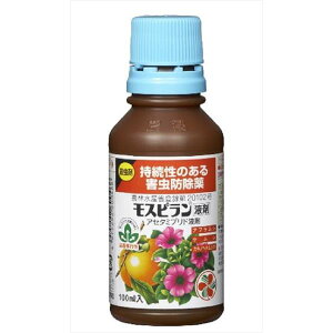 ZFw| Xst 100ml 4975292600466