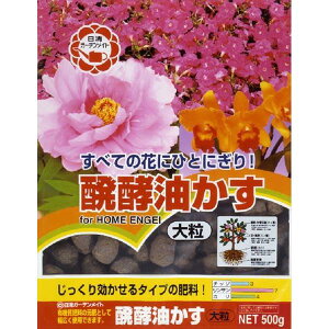  y嗱 500G 4560194952692 엿 L@ ʎ Ԗ