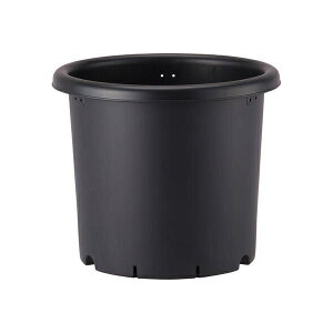 AbvEFA[ e8 ubN 4905980977082 v e