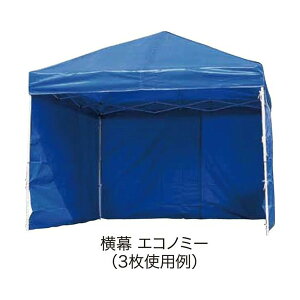 �y���[�J�[�����zRAIMU�i�����j �I�v�V���� DX60/DXA60�p���� �z���C�g�i�G�R�m�~�[�j EZP60-24WH
