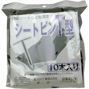 ܂H V[gs T^ 10 136875