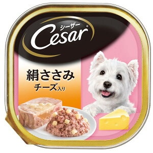 }[XWp~ebh V[U[  `[Y 100g CE12N  t[h EFbg g[ gC h{H  t[h EFbg g[ gC h{H CE12N