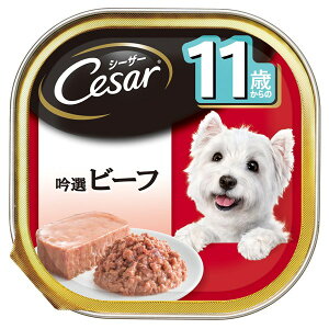 }[XWp~ebh V[U[ 11΂ Ir[t 100g CE64N  t[h EFbg g[ gC h{H  t[h EFbg g[ gC h{H CE64N