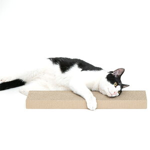 ybgvWp:Happy Days S~oɂ߂Ƃւ 0724190756683 L  ߋ ߂݂ ܂݂ ܖ ܂Ƃ L  ߋ ߂݂ ܂݂ ܖ ܂Ƃ