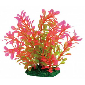 }J ~iXvc M-1 NAP-194  ANAE ANZT[ IuWF    ANAE ANZT[ IuWF   NAP-194