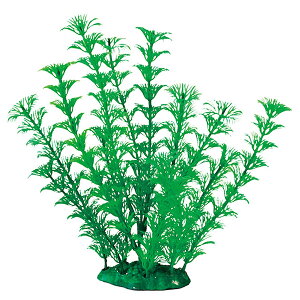 }J ~iXvc L-2 NAP-241  ANAE ANZT[ IuWF    ANAE ANZT[ IuWF   NAP-241