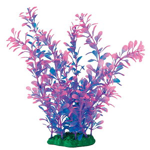 }J ~iXvc L-3 NAP-242  ANAE ANZT[ IuWF    ANAE ANZT[ IuWF   NAP-242