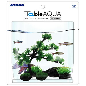 }J e[uANA vcZbg1 NAP-504  ANAE ANZT[ IuWF    ANAE ANZT[ IuWF   NAP-504