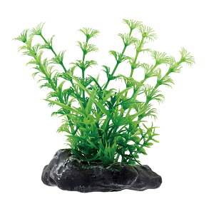 }J gK[fMini 1 NAP-580  ANAE ANZT[ IuWF    ANAE ANZT[ IuWF   NAP-580