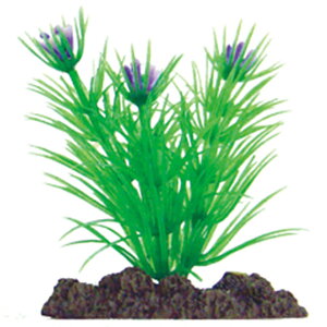 }J ANAeBbNvc SS-5 NAP-304  ANAE ANZT[ IuWF    ANAE ANZT[ IuWF   NAP-304