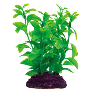 }J ANAeBbNvc M-7 NAP-366  ANAE ANZT[ IuWF    ANAE ANZT[ IuWF   NAP-366