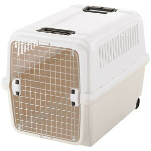 b`FiRichellj LsOL[ XL AC{[ 4973655599280 ybg ł hCu L[ obO nEX ^ ړ p  s