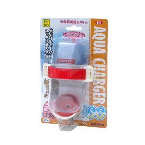 OW ANA`[W[ 300 B01    {g   B01