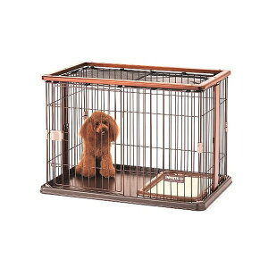 {rAR EbhT[N uE 4977082707201  T[N  CeA i`