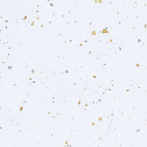 HEIKOiwCR[j a _U  50 002107601