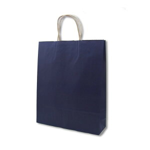 HEIKO�i�w�C�R�[�j ��񂰎��� 25�`���[���o�b�O MS1 ���N �l�C�r�[NC 50������ 003276809 3276809 ��񂰎��� MS1 ���N �l�C�r�[