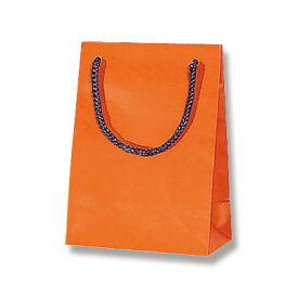 HEIKO（ヘイコー）:手提げ紙袋 ブライトバッグ T-4 Dオレンジ（マットタイプ） 10枚入り 006143260 6143260 手提げ紙袋 T-4 オレンジ マット
