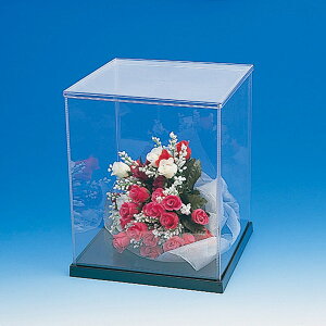 teBA쐢 y4z ECi[P[Xp 21×25 007310905  fBXvCP[X NABOX fBXvCBOX
