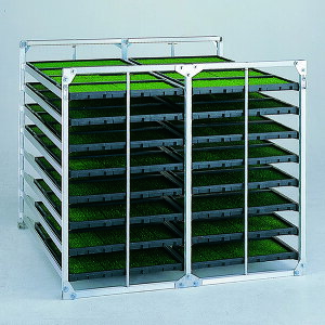 y@lzyԗzyԏnzyn搧Lzy[J[zaubW cI i[^jNC/NS NC-64 I c 4543820828752 NC-64