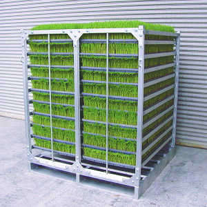 y@lzyԗzyԏnzyn搧Lzy[J[zaubW cI ipbgtjAR-P AR-180P I c 4543820829179 AR-180P