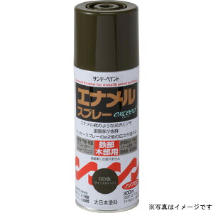 �T���f�[�y�C���g �G�i�����X�v���[ exceed �R�[�q�[BR 300ml #27QA1