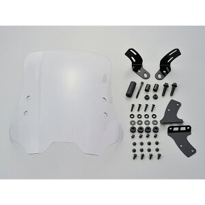 DAYTONAifCgij EChV[hRS ԎʃLbg NXJup 951