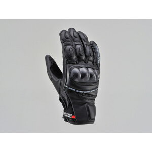 DAYTONAifCgij HBG-036 X|[cV[gO[u ubN 99