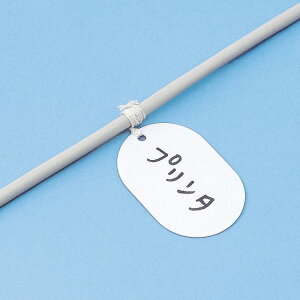 �T�����T�v���C �t�@�C�o�[�^�O�i37×55mm�j CA-TAG137N CA-TAG137N