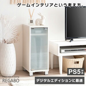 �y���[�J�[�����z�{�����쏊 �Q�[���@���b�N REGABO �z���C�g GRK-004