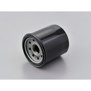 DAYTONAifCgij vCXICtB^[ Ɩp10 F-21 35206