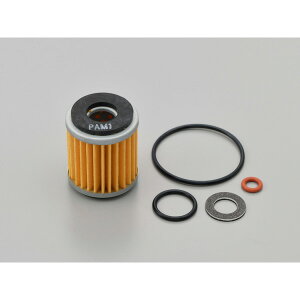 DAYTONAifCgij ICp[tFNgZbg WR250R/X  17985