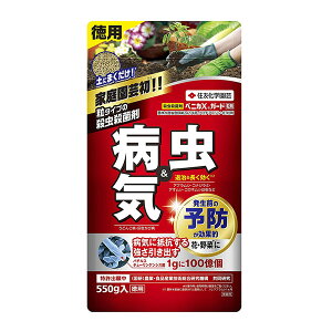 ZFw| xjJXK[h 550g 4975292603924