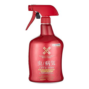 ZFw| xjJXlNXgXv[ 1000mL 4975292603832