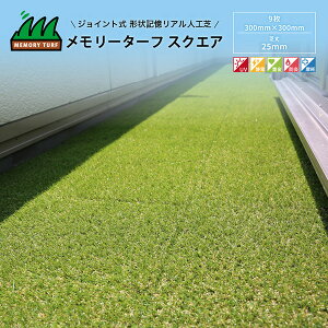 jIrY:[^[tXNGA MTSQ-09y[J[izyn搧Lz