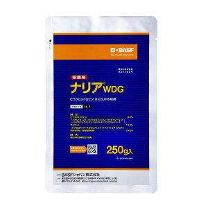 BASFWp iAWDG 250g 4531607001238