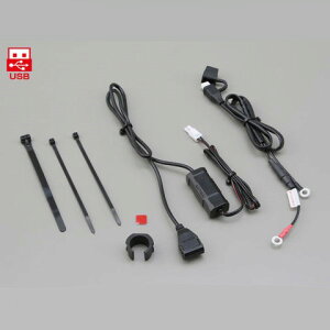 DAYTONAifCgij oCNpd2.1A USB 93039