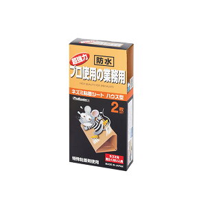 SHIMADAiV}_j lY~쏜pSV[gnEX^ 2 4964283103161