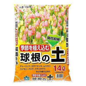 RpȊw ̓y 14L 4907579550911