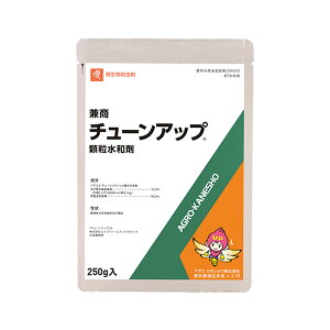 y[֑zAOJlVE `[Abva 250g 4966871206704