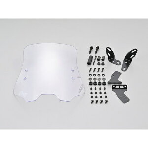 DAYTONAifCgij EChV[hRS NXJu110 314