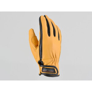 DAYTONAifCgij S[gXLO[u X^_[h^Cv CG[