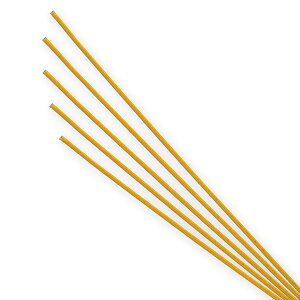 VW}:A~@@100{ 004870529 4870529  ݂Ђ  蕨 jV ѕR