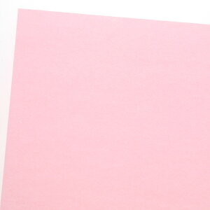 HEIKO�i�w�C�R�[�j PC�J���[���t�� ���� A16 �s���N 002111810 2111810 �����悤�� ���� ���� �� �C���i�[