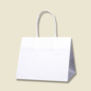 HEIKOiwCR[j 񂰎 PX[XobO 25-19 n 003155300