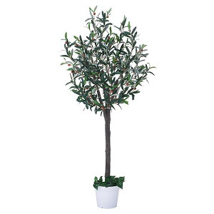 y[J[zXgAEGLXvX I[u H180cm ilH tFCNO[ lHϗtAj 61-780-33-1 tFCNO[ ϗtA tFCN A