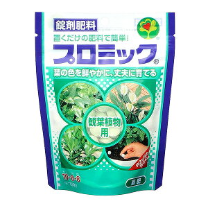 nC|lbNXWp:v~bN ϗtAp 150g 4977517008132