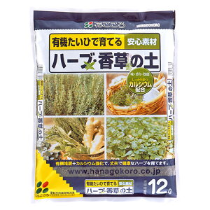 Ԃ:n[umy 2L 4977445083508