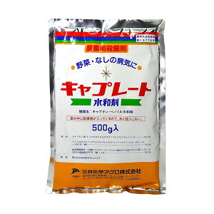 O䉻w Lv[ga 500g 4562146022224