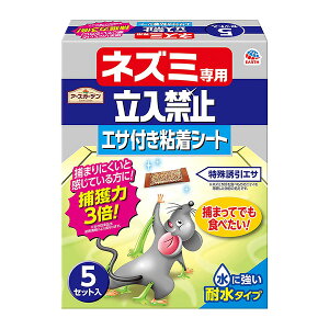 A[X lY~p֎~ GTtSV[g 5 4901080047519