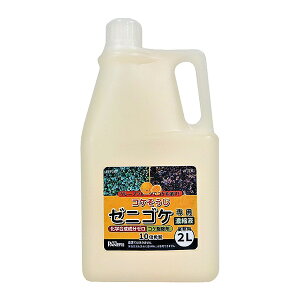 pltH:[jSPpƖpZkt 2L 4571102572086